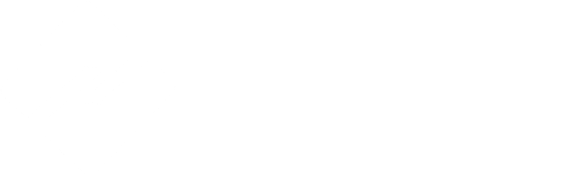 Zerion Web Solutions